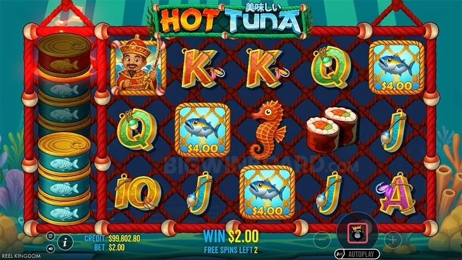 championzone Comparing Online vs Land Casinos